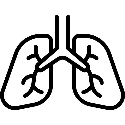 Органы дыхания